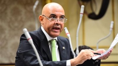 النائب عمرو عكاشة: استضافة مصر معرض إيديكس دليل على استقرار الدولة