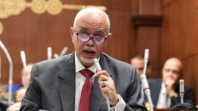 النائب حازم الجندي: المشاركة بالانتخابات الرئاسية واجب وطني في ظل التحديات الإقليمية