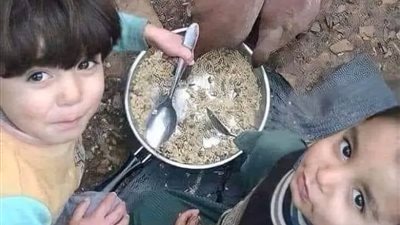 يشاركونها وجباتهم.. أطفال فلسطين والطيور في طبق واحد