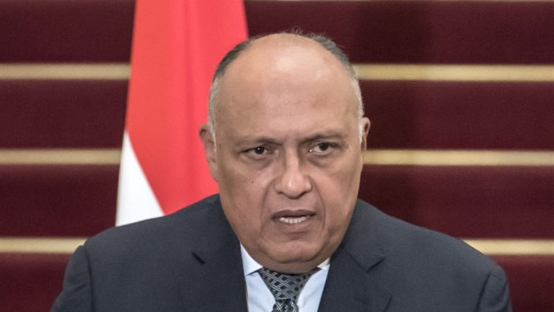 وزير الخارجية سامح شكري