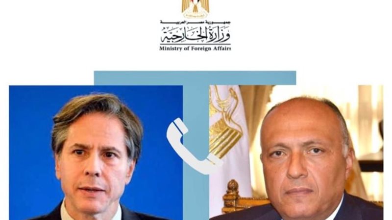سامح شكري وزير الخارجية