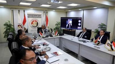 «الوطنية للانتخابات» تتابع تصويت المصريين في الخارج عبر «الفيديو كونفرانس»