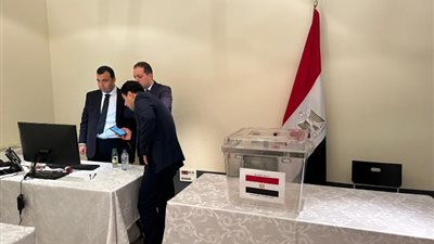 تخطى الـ60%.. إشادات بالأعداد المشاركة في الانتخابات الرئاسية من المصريين بالخارج