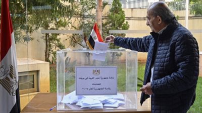 لبناني معلقا على انتخابات المصريين: منظر ديموقراطي يؤمّن السلام للشعب