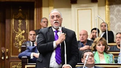 زعيم الأغلبية بمؤتمر مستقبل وطن بالغربية: لا يمكن لأحد إنكار إنجازات السيسي