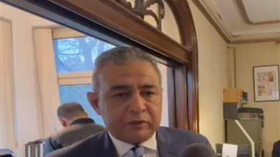 قنصل مصر بألمانيا: الناخبون قطعوا مسافة كبيرة للمشاركة في الانتخابات الرئاسية