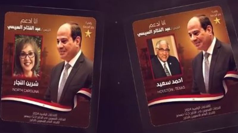 حملة المصريين بأمريكا