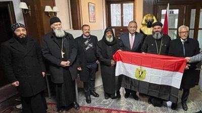 مواطن يبيت بجوار القنصلية المصرية في ألمانيا للتصويت بالانتخابات.. فيديو