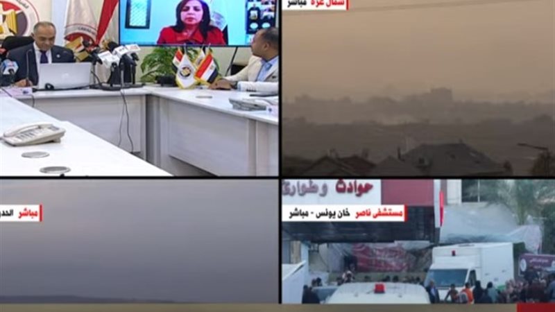 السفيرة نرمين الظواهري