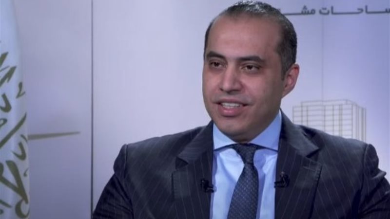 المستشار محمود فوزى