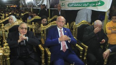 قيادي بالوفد: نخاطب المواطنين لتشجيعهم على اختيار رئيسهم بشكل ديمقراطي