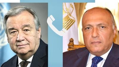 شكري يبحث مع جوتيريش ضرورة التوصل لوقف فوري لإطلاق النار