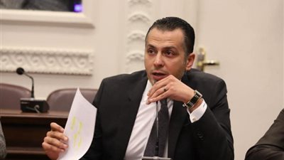 نائب رئيس 