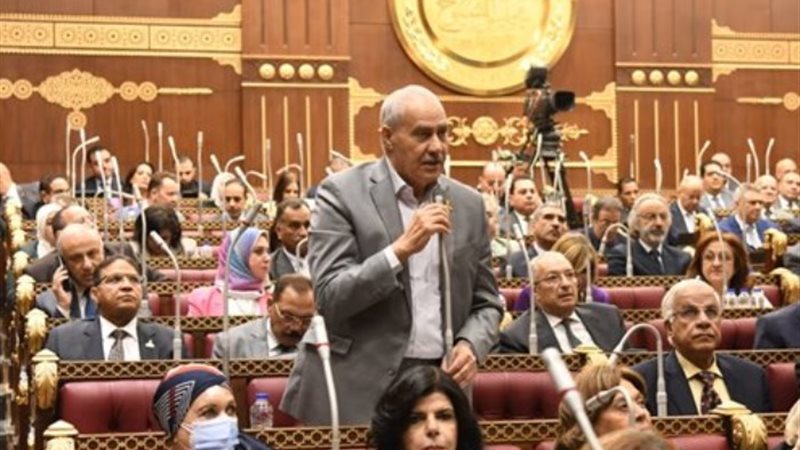 النائب محمد عبدالمعطي
