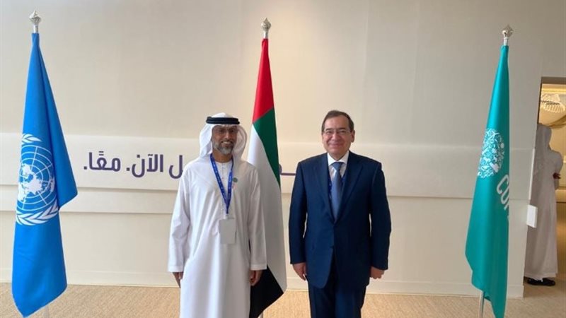 وزير البترول والثروة المعدنية