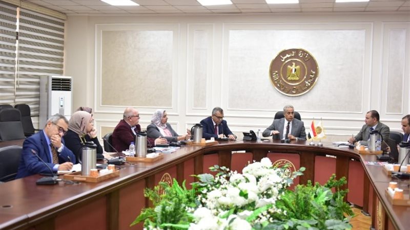 حسن شحاتة وزير العمل