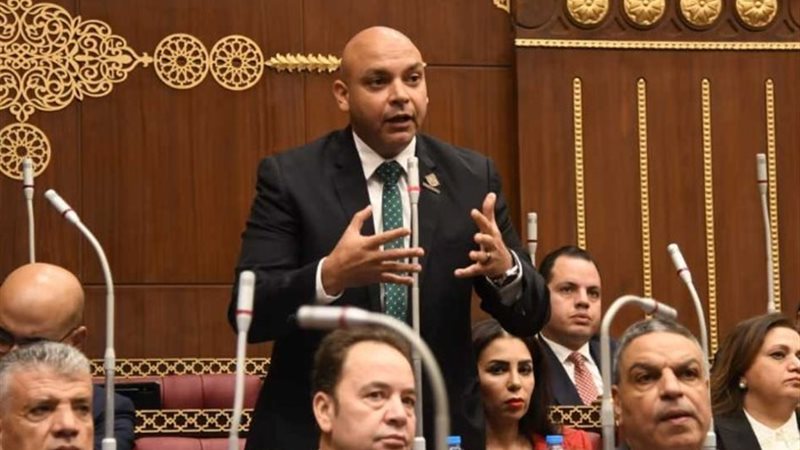 النائب محمود القط