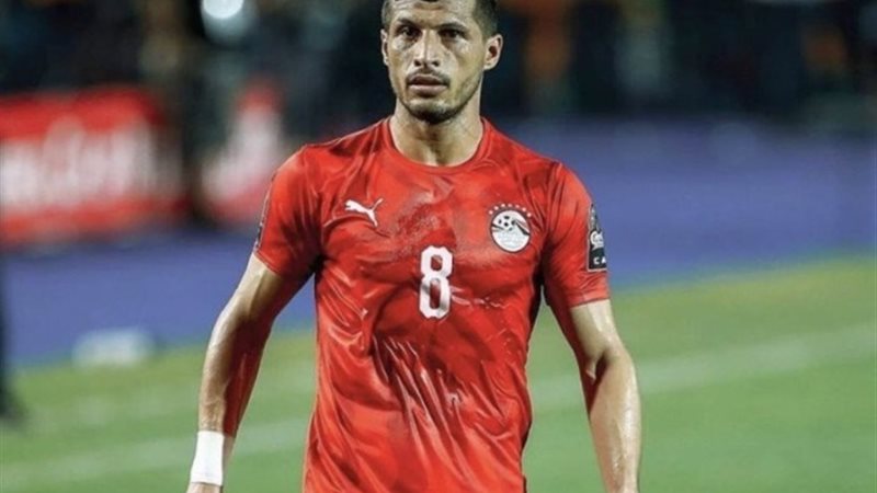 طارق حامد
