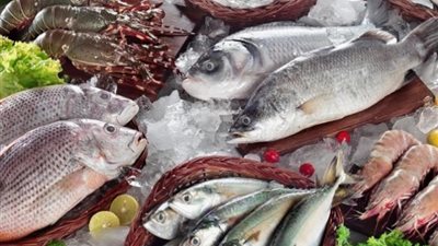 انخفاض أسعار الأسماك اليوم السبت 9-12- 2023 بالأسواق