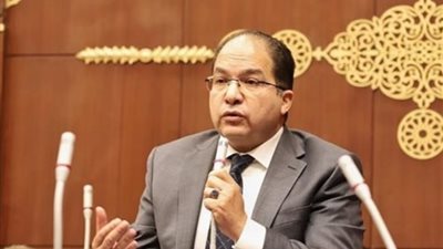 النائب عادل لمعي: الشعب المصري يسطر ملحمة في حب الوطن