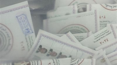 النائب عمر وطني: مشاركة 45% من المقيدين بقاعدة الناخبين يعكس وعي المواطن المصري