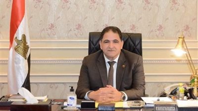 برلماني: المشاركة الإيجابية تعمل على تعزيز الديمقراطية والنهوض بالأوطان
