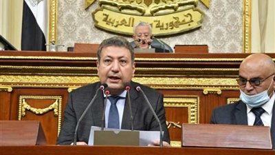 إسكان النواب عن انتخابات الرئاسة: المصريون يثبتون دائما أنهم شعب متحضر
