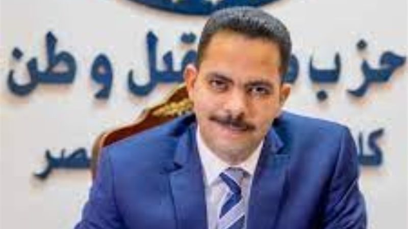 المهندس أشرف رشاد الشريف، نائب رئيس حزب مستقبل وطن