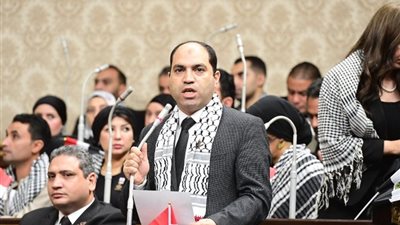 برلماني عن تنسيقة الأحزاب: القضية الفلسطينية خلقت حالة وعي لدى المصريين