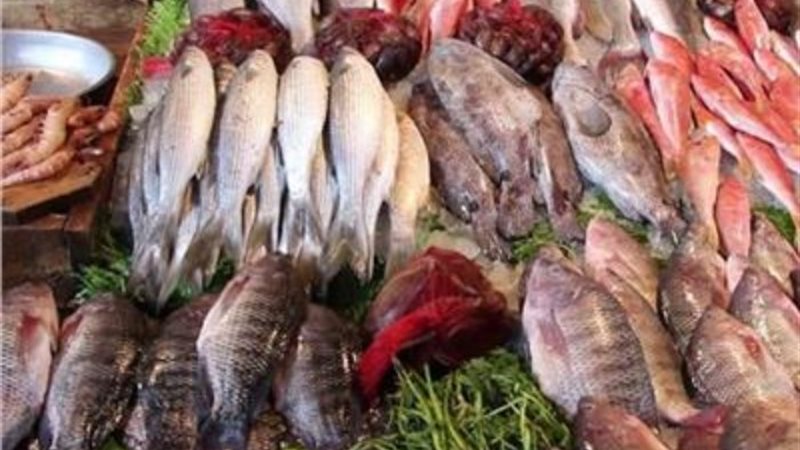 أسعار الأسماك