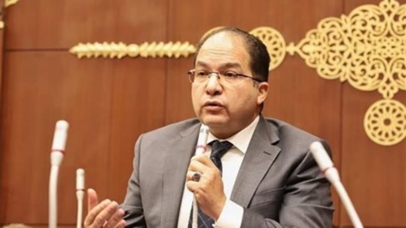 النائب عادل لمعي