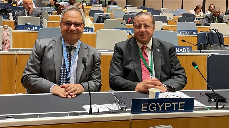 مشاركة مصر في جنيف