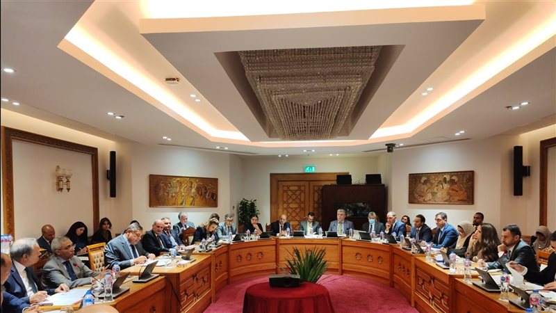 اجتماع اللجنة الدائمة لمتابعة العلاقات المصرية الإفريقية 