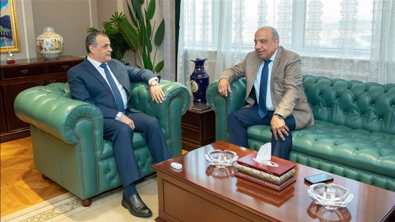 وزيرا الإنتاج الحربي والكهرباء