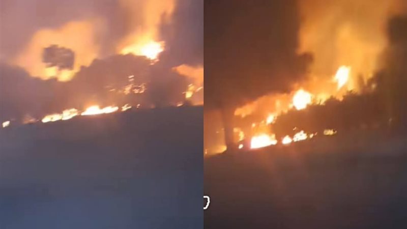 حريق مشتل زراعى بمنطقة كفر العلو 