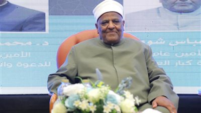 عباس شومان: الألعاب الإلكترونية تستنزف الشباب وتدمر الأسر