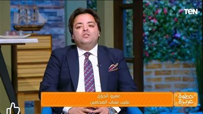 محامي الطفلة مريم: نثق في القضاء وجلسة 21 أغسطس أولى خطوات استرداد حقها