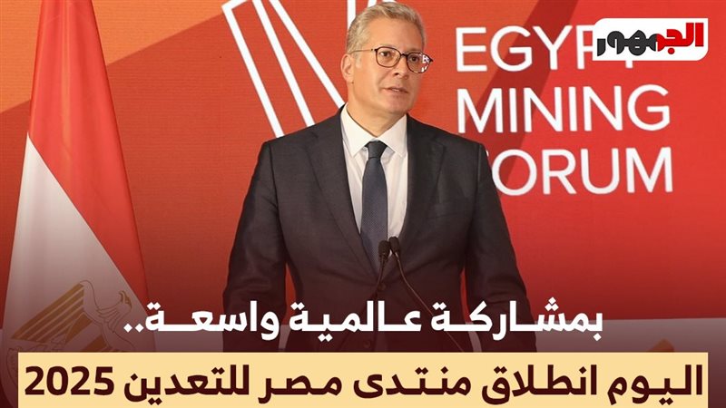 المهندس كريم بدوي 