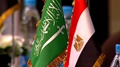 أستاذ علاقات دولية: ما يربط القاهرة والرياض ليس مجرد كلمات بل شراكة حقيقية