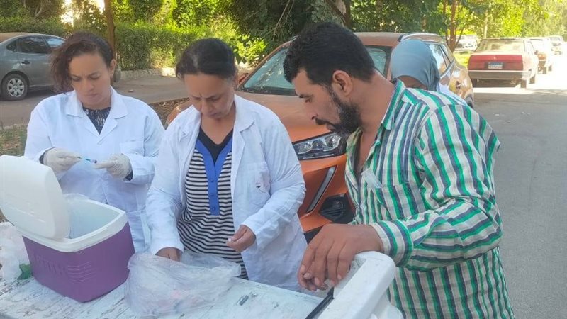 تطعيم الكلاب الضالة بالجيزة