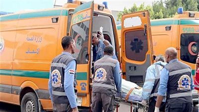 إصابة 10 أشخاص فى انقلاب سيارة أجرة بطريق القاهرة أسيوط الغربى بالفيوم