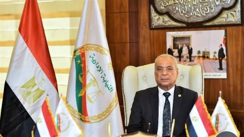 المستشار محمد الشناوى رئيس هيئة النيابة الإدارية 