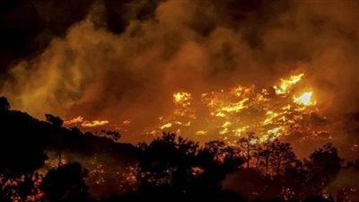 حرائق الغابات في اليونان تجبر السلطات على إخلاء عدة قرى جنوبي البلاد 