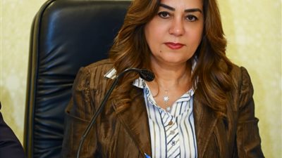 وزيرة التنمية المحلية: الانتهاء من 75% من المخططات التفصيلية للمدن و86% للقرى