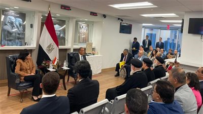 وزير الخارجية: الدولة المصرية تبذل جهودا متواصلة لحماية أمنها القومي