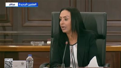 وزيرة التضامن: 4500 طن مساعدات دخلت غزة خلال 4 أيام