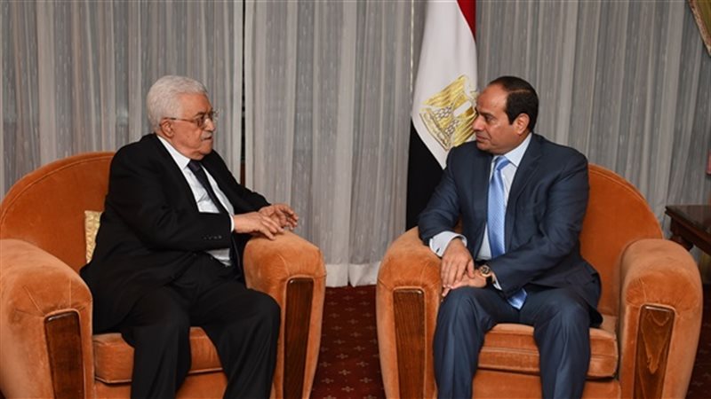 ماذا قدمت مصر للقضية الفلسطينية؟