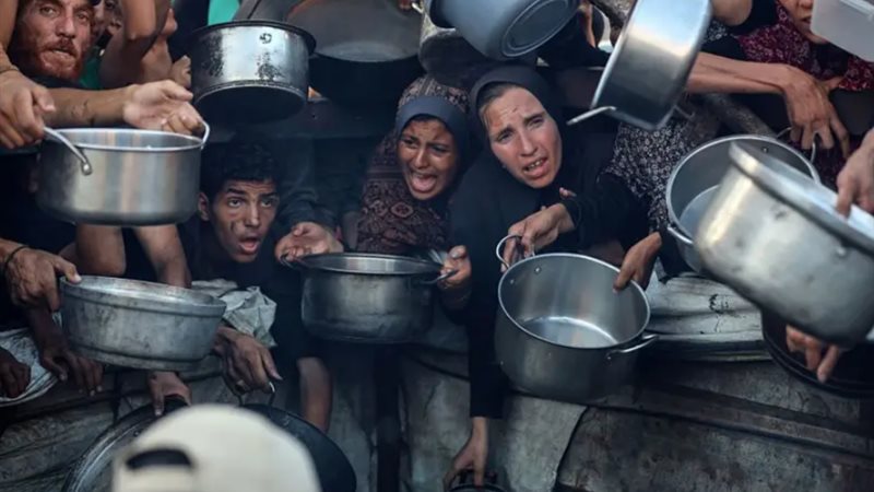 المجاعة في غزة 