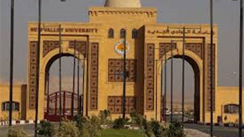 جامعة الوادي الجديد الأهلية 