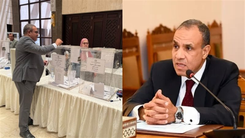 وزير الخارجية يحث المواطنين على التصويت بالانتخابات 